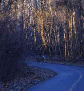 Wish I had the zoom lens!