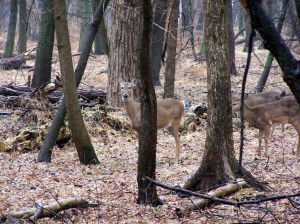 Here's Looking At You Kid