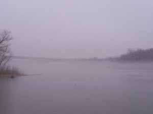 The fog comes on little cat feet. - Carl Sandburg