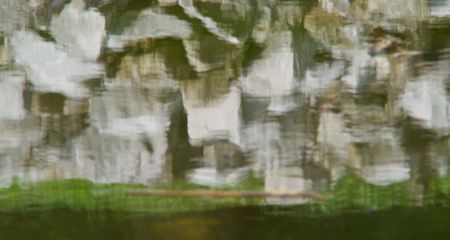 Rock Reflection Abstract