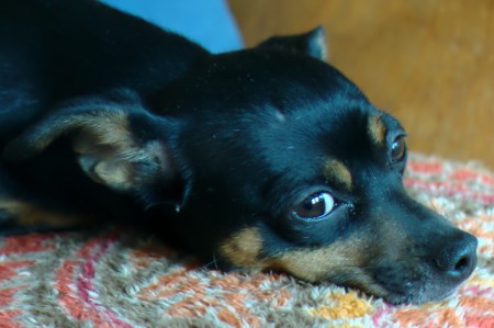 Hope you're feeling better.