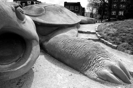 turtle, sculpture, playground, big turtle