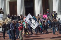 street photography, women's march 2017, protest, freedom, democracy, rally