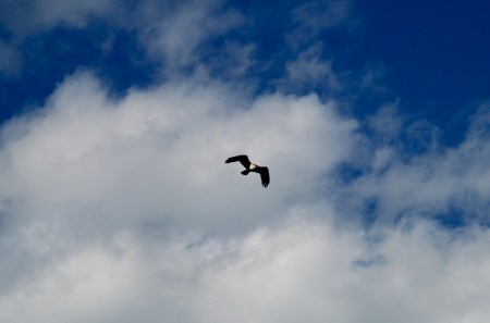 osprey, south dakota, clouds