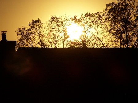 wpc, sunset, photography, golden hour