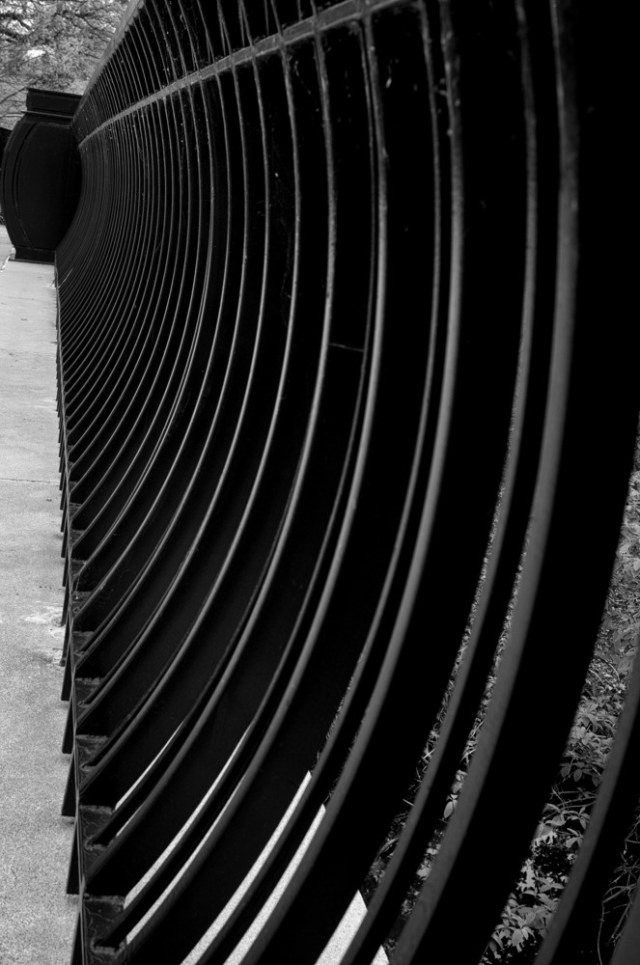 Curved Lines Photography curved-lines-photography